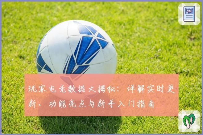 玩家电竞数据大揭秘:详解实时更新、功能亮点与新手入门指南