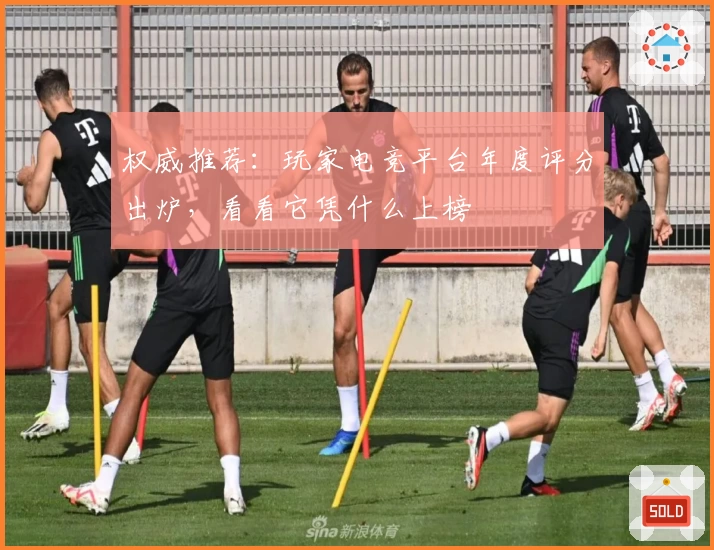 权威推荐：玩家电竞平台年度评分出炉，看看它凭什么上榜