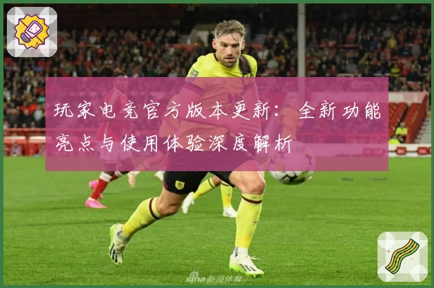玩家电竞官方版本更新：全新功能亮点与使用体验深度解析